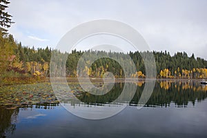 Morning mood at a lake in Clearwater, British Columbia, Canada