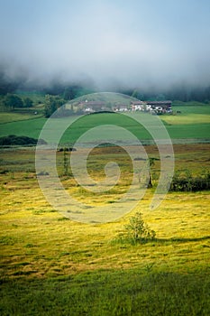 Morning mood in the moor nature reserve Schwemm in Walchsee