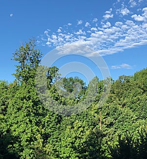 Morning Moon Blue Skies