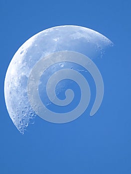 Morning moon