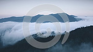 Morning mountain fog over pine tree forest. Dramatic blue toning mist in mount range canyon.