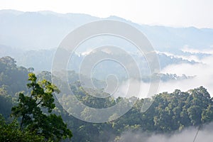 Morning mountain mist
