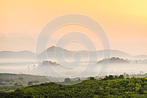 Morning mountain mist