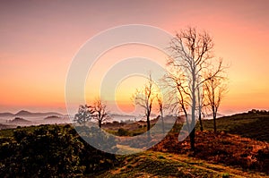 Morning mountain mist