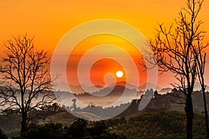 Morning mountain mist