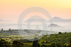 Morning mountain mist
