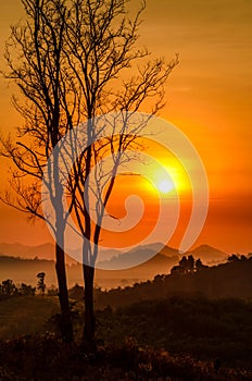 Morning mountain mist