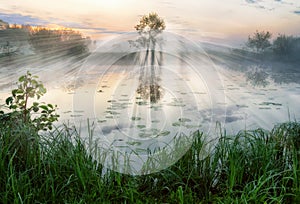 Morning. a picturesque foggy dawn by the river. Sun rays