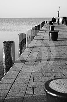 Morning on the pier.