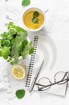 Morning planning inspiration and melissa lemon green tea. Blank notepad, cup of tea, melissa flower pot on a white background, top