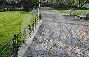 In the morning in the public historical park with a beautifully mown lawn, you can see the lanes where the mower rode. Trees and a