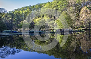 Morning Reflections at Lake Gardiner Vienna Virginia