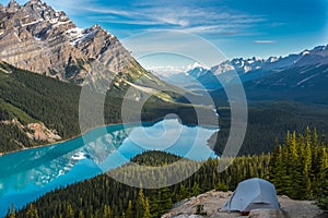 Morning Reflections at Peyto Lake