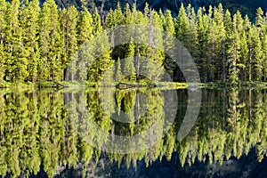 Morning Reflections on String Lake