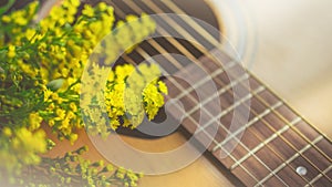 Morning relaxation and cozy with small yellow flower on guitar i