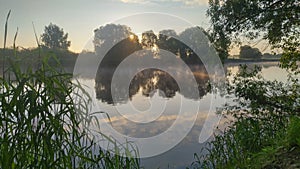 Morning on the river. A light mist and rays of sunshine through the foliage. Tall grass and trees grow along the banks and are ref