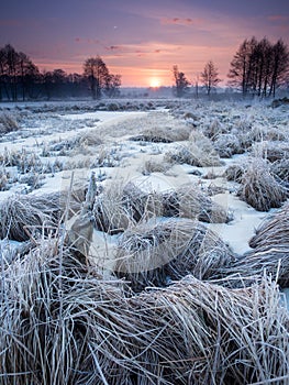 Morning river