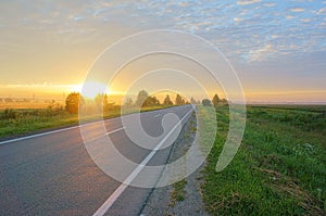 Morning road through the field