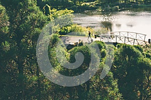 Morning runner on wooden foot bridge through lush garden greenery in a village on a sunny day. Young girl running by