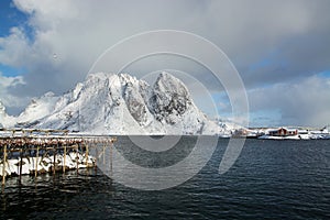 Morning in Sakrisoy at the Lofoten, Norway