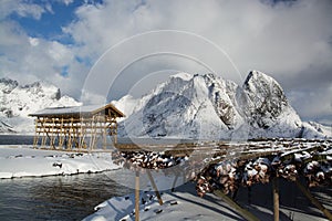 Morning in Sakrisoy at the Lofoten, Norway