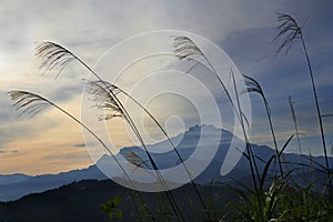 Morning scene of Mount Kinabalu in Sabah