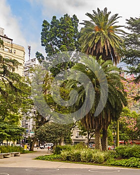 Urban park, buenos aires, argentina photo