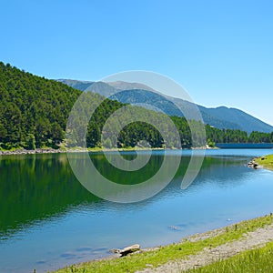 Morning on the shore of a picturesque lake