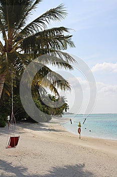 Morning on the shores of the Indian Ocean with white sand, azure water, a lifebuoy, a hammock and a hanging chair on a palm tree