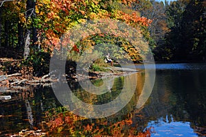 Autumn Silence Greets Visitor photo