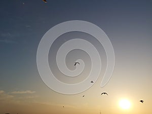 Manana el cielo a lanzar observación de aves sobre el un rio 