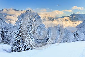Morning snow landscape Vorarlberg