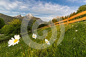 Morning spring in German Alps