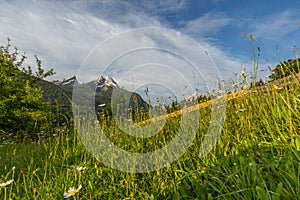 Morning spring in German Alps