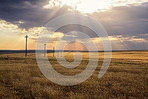 Morning steppe landscape