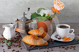 Morning still life concept. Coffee grinder, two buttery croissant , aroma coffee and flowers of primula on wooden background.