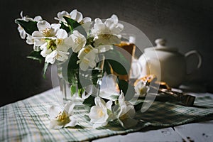 Morning still life with fresh jasmine flowers