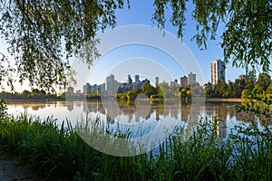 Morning Stroll at Stanley Park Vancouver BC Canada