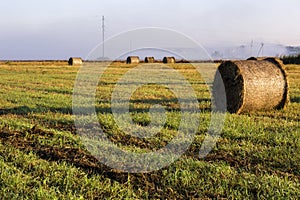 Morning summer mist over the field.