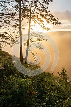 Morning sun breaking through the fog