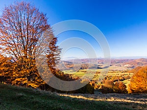 A sunny morning in autumn.