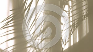 Morning sun lighting the room, shadow background overlays. Transparent shadow of tropical leaves. Abstract gray shadow