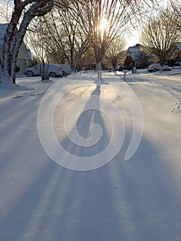 Morning Sun on New Snow