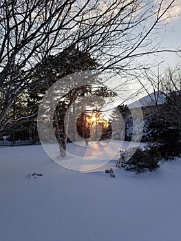 Morning Sun on New Snow