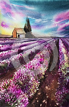 Morning sun over the landscape with a lavender field. Watercolor illustration for postcards, printing, scrabbuking and