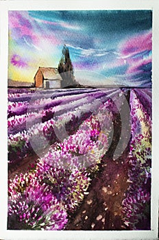 Morning sun over the landscape with a lavender field. Watercolor illustration for postcards, printing, scrabbuking and