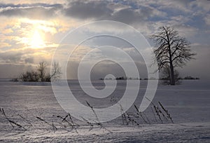 Morning sun over snow field