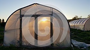 Morning sun shinning threw greenhouse