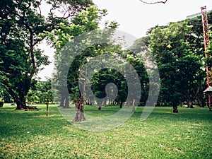 Morning with sunny blue sky in Chatuchak park in Bangkok.