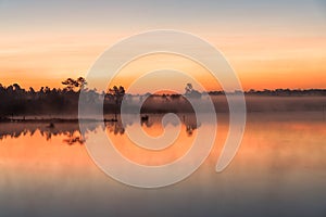Morning sunrise over the lake with silhouette tree reflect on water surface